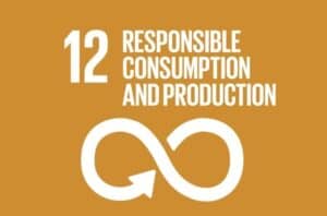 SDG 12 - responsible consumption and production