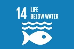 SDG 14 "Life Below Water" (Beginner - A2)